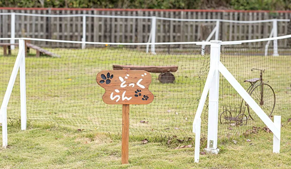 DOG RUN