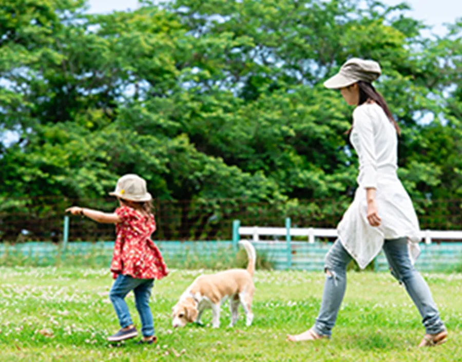 旅の思い出は、愛犬と一緒に。