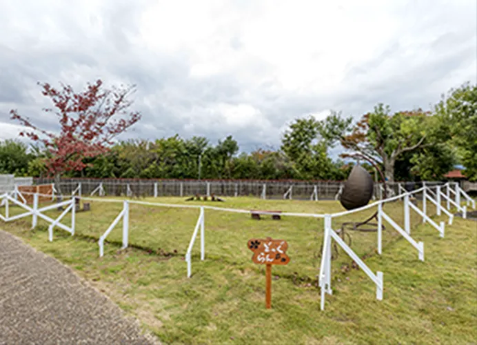 のびのび遊べる安心のドッグラン環境