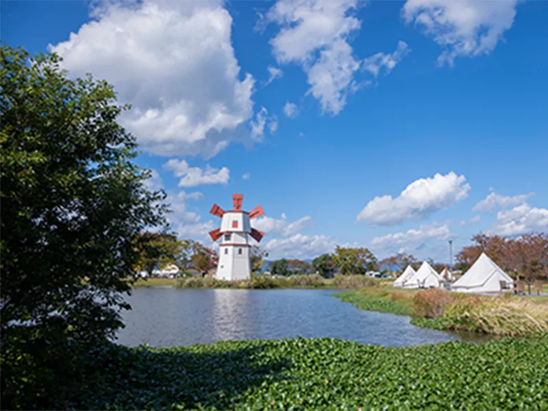 高島の自然景観