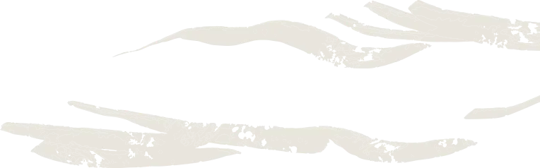 五感でととのう、大自然のサウナ体験